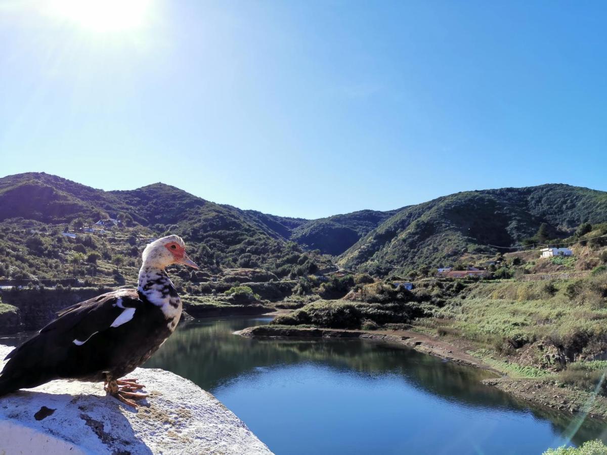 Casa Rural Leo: Remanso De Paz Y Tranquilidad Agulo Eksteriør bilde